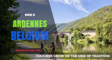 Exploring the Enchanting Ardennes: Belgium's Hidden Gem