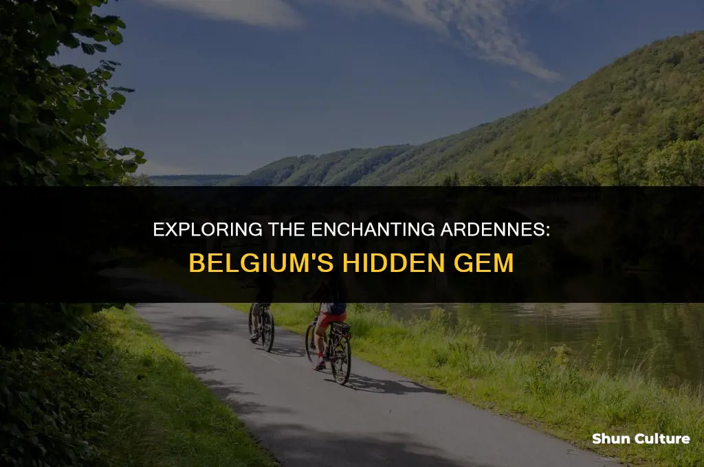 where is ardennes belgium