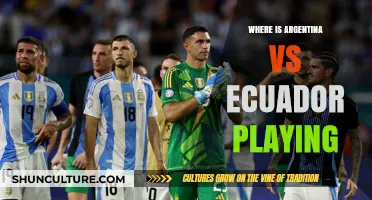 Argentina vs Ecuador: A Thrilling Showdown in the Heart of [City]