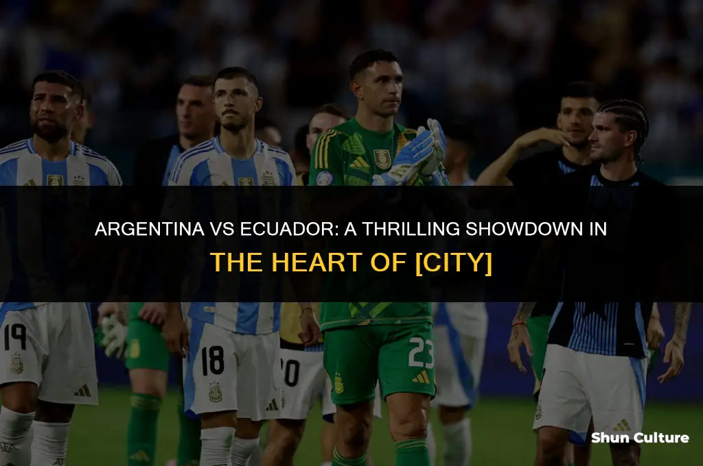 where is argentina vs ecuador playing