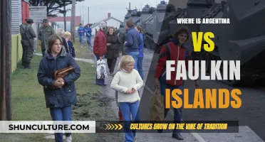 Argentina vs. Falkland Islands: A Historical and Geopolitical Overview