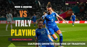 Argentina vs Italy Showdown: Where the Epic Match Unfolds