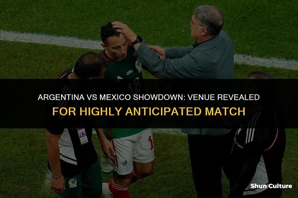 where is argentina vs mexico playing