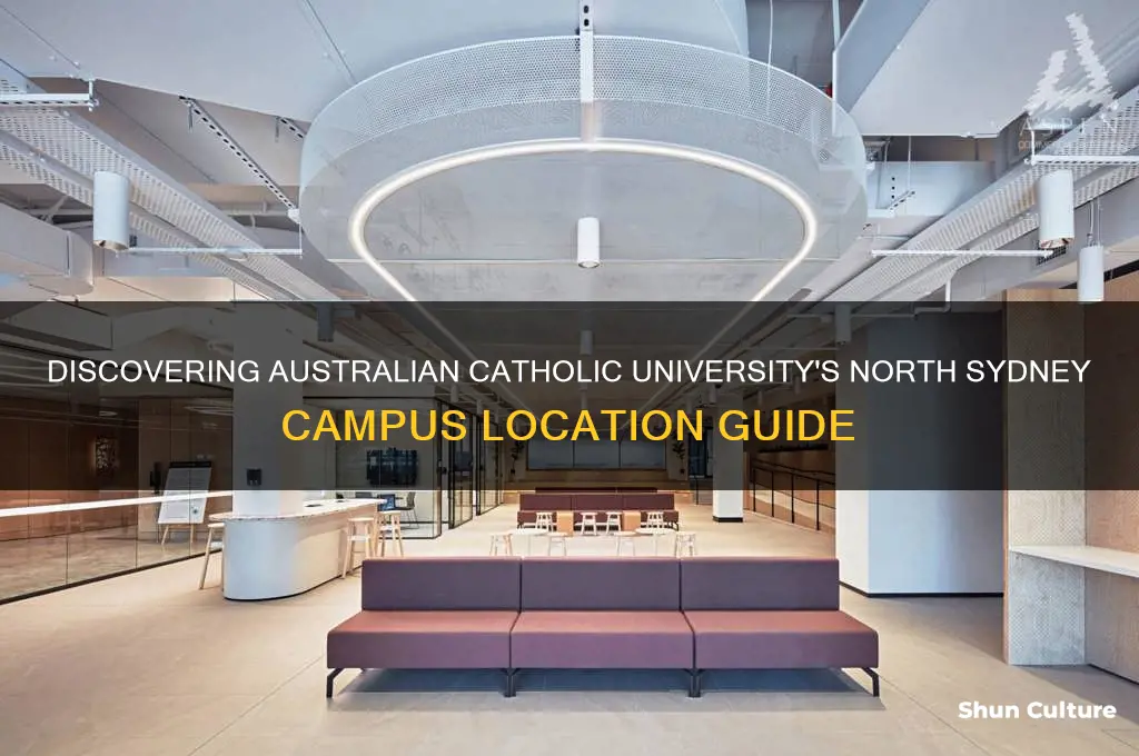 where is australian catholic university north sydney