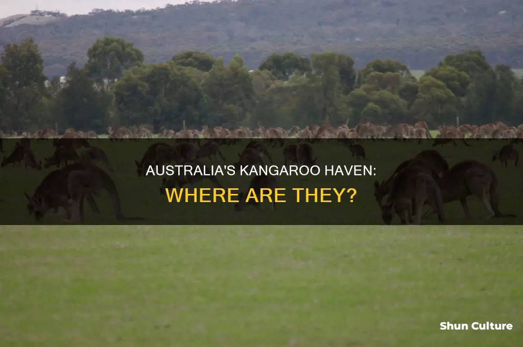 where is australia