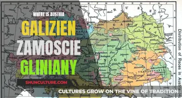 Exploring Austria, Galicia, Zamość, and Gliniany: A Historical Journey