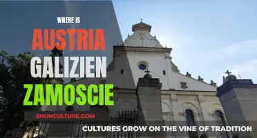 Exploring the Lost Heritage: Where is Austria's Galicia?