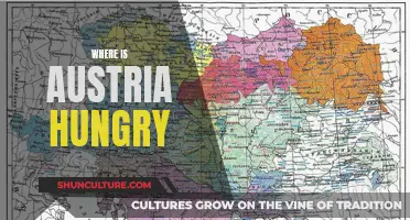 Austria and Hungry: Neighbors with a History