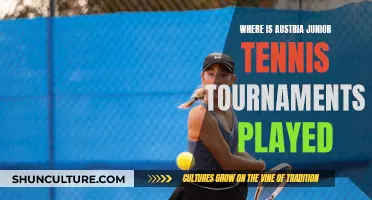 Austria's Tennis Tournaments: Where Juniors Compete