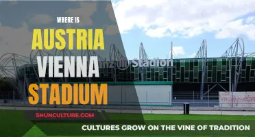 Vienna's Stadium: Exploring Austria's Sports Arena