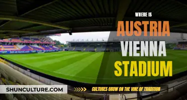 Exploring Vienna: The Home of Austria's Stadium