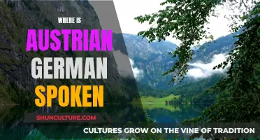 Austrian German: Unique Dialects and Where They're Spoken