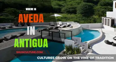 Discovering Aveda's Presence: A Guide to Antigua's Wellness Scene