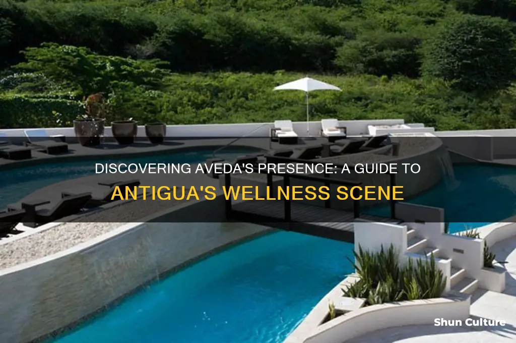 where is aveda in antigua