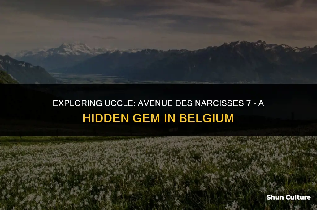 where is avenue des narcisses 7 1180 uccle belgium