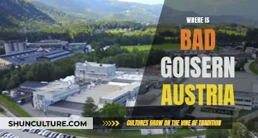 Unveiling the Mystery: Bad Goisern's Austrian Location