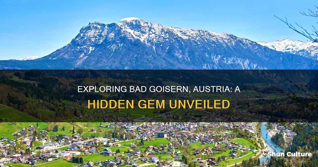 where is bad goisern austria
