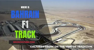 Exploring Bahrain's F1 Track: Location and Unique Features