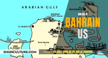 US Military Presence in Bahrain: Where and Why?