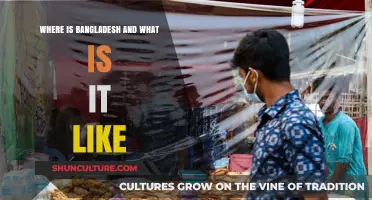 Exploring Bangladesh: Location, Culture, and Daily Life Insights