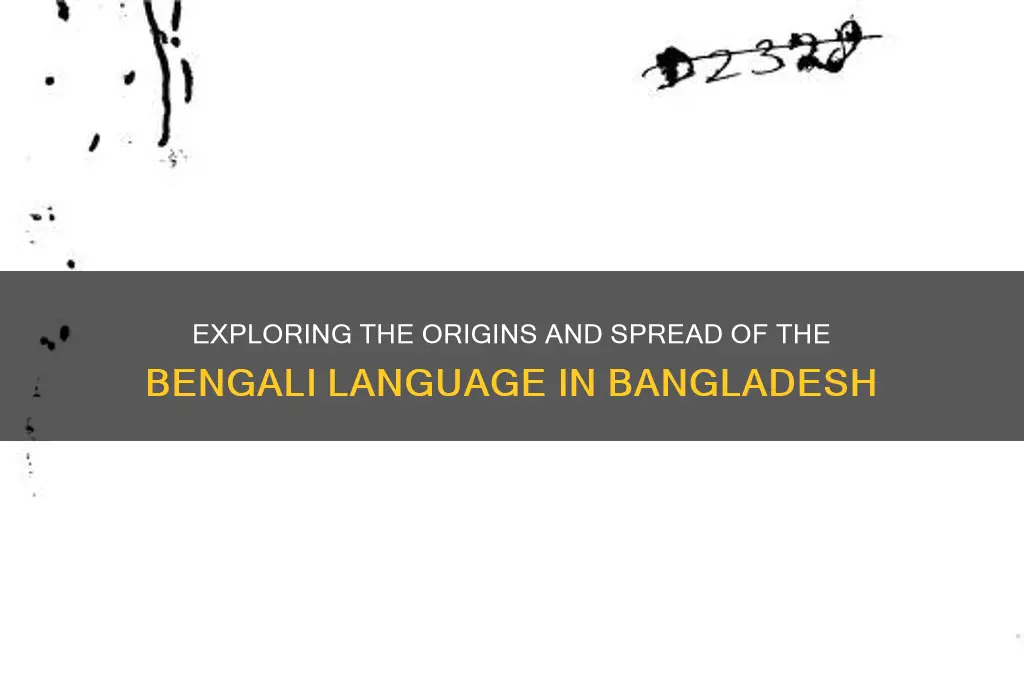 where is bangladesh language