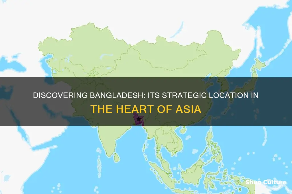where is bangladesh located in asia