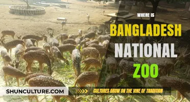 Discovering Bangladesh National Zoo: Location and Visitor's Guide