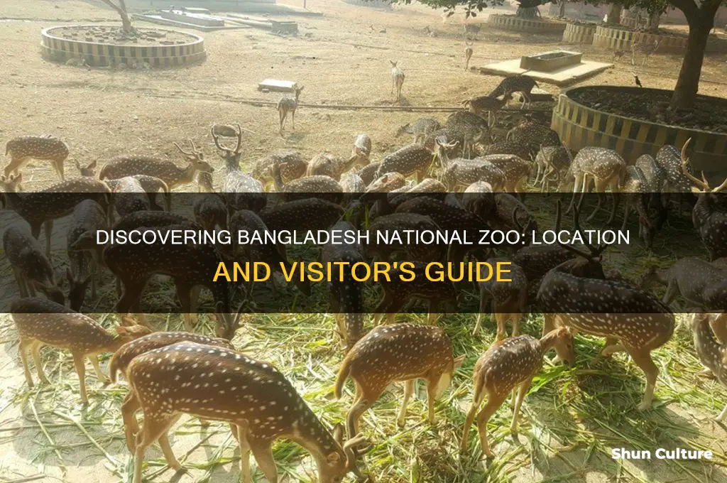 where is bangladesh national zoo