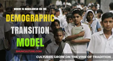 Bangladesh's Demographic Transition: Current Stage and Future Trends