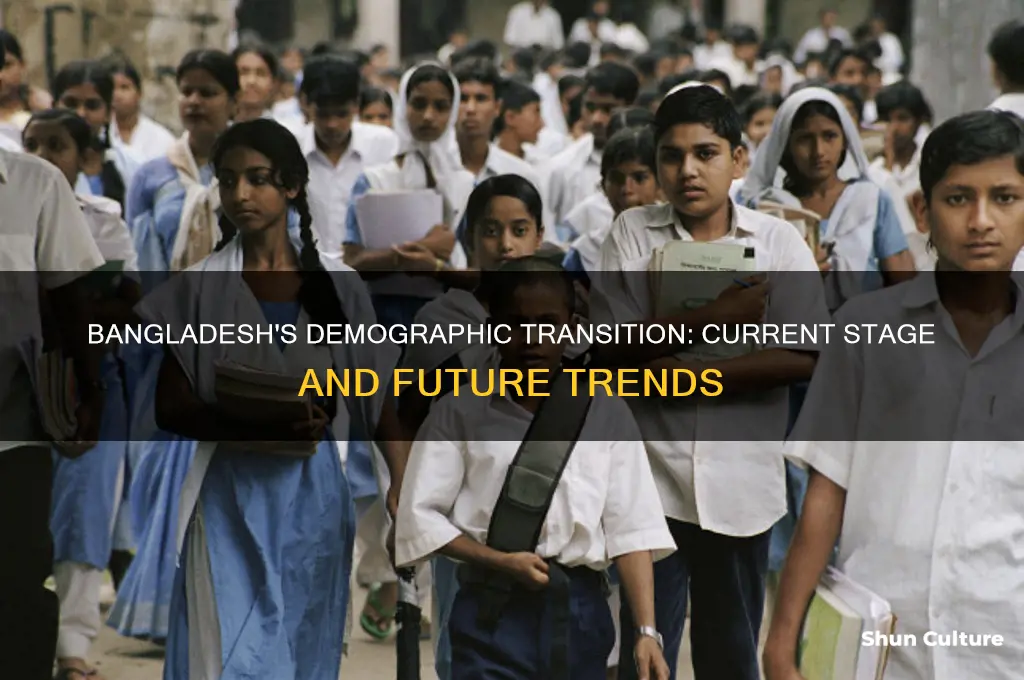where is bangladesh on the demographic transition model