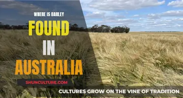 Barley's Australian Sources: A Comprehensive Guide