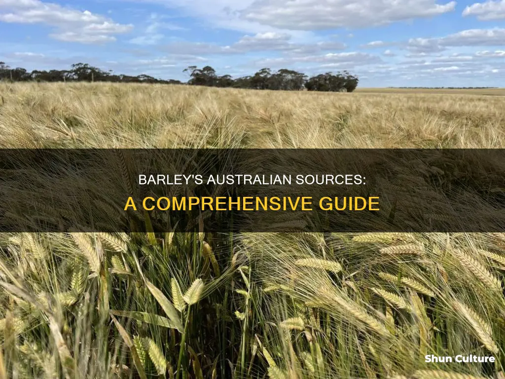 where is barley found in australia