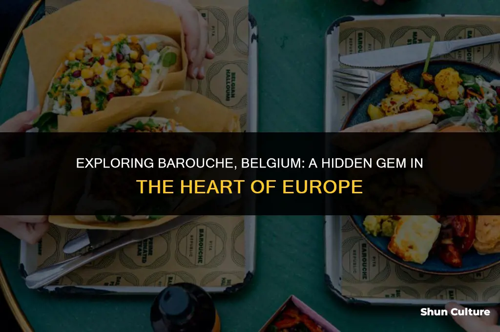 where is barouche belgium