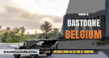 Discovering Bastogne: A Hidden Gem in the Heart of Belgium