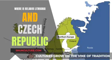 Exploring Eastern Europe: Belarus, Lithuania, and the Czech Republic