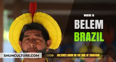 Discovering Belem: Brazil's Hidden Gem in the Amazon Region