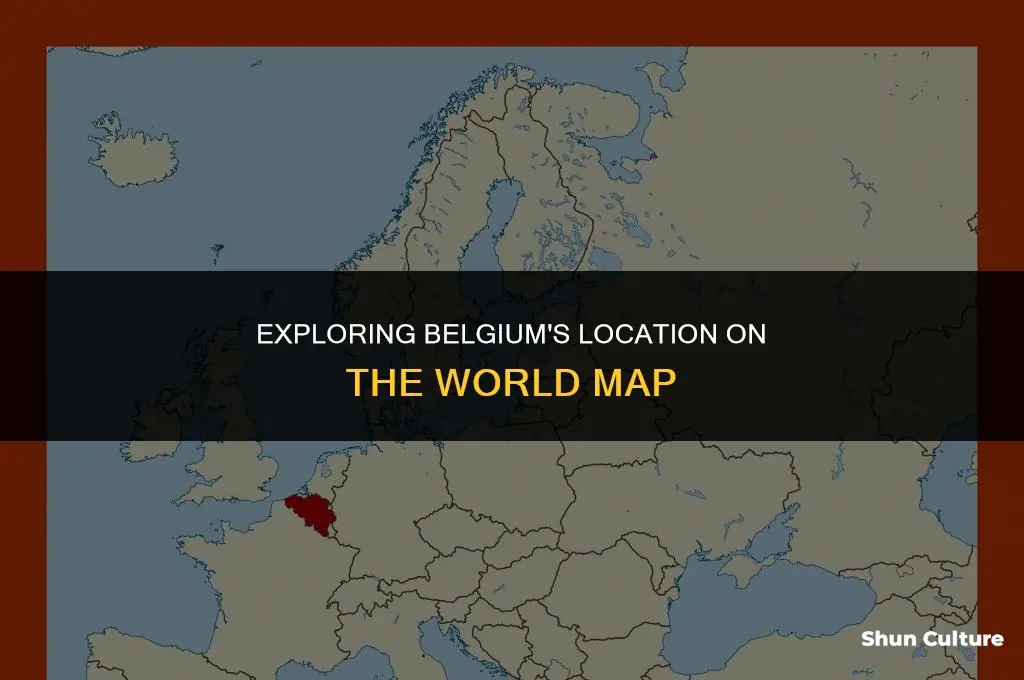 where is belgium a world map