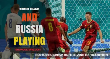 Where Belgium and Russia Face Off: A Guide to Their Match Location
