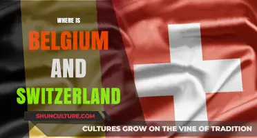 Exploring the Heart of Europe: Belgium and Switzerland Unveiled