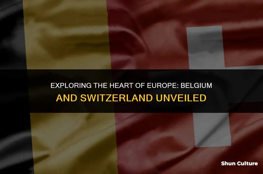 where is belgium and switzerland