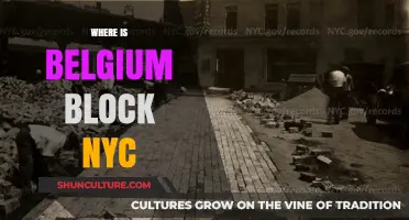 Exploring Belgium Block: A Hidden Gem in NYC's Urban Landscape