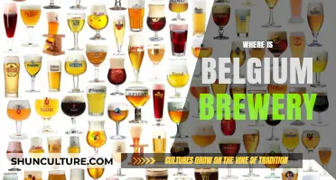 Exploring Belgium's Brewery Scene: A Guide to the Best Spots