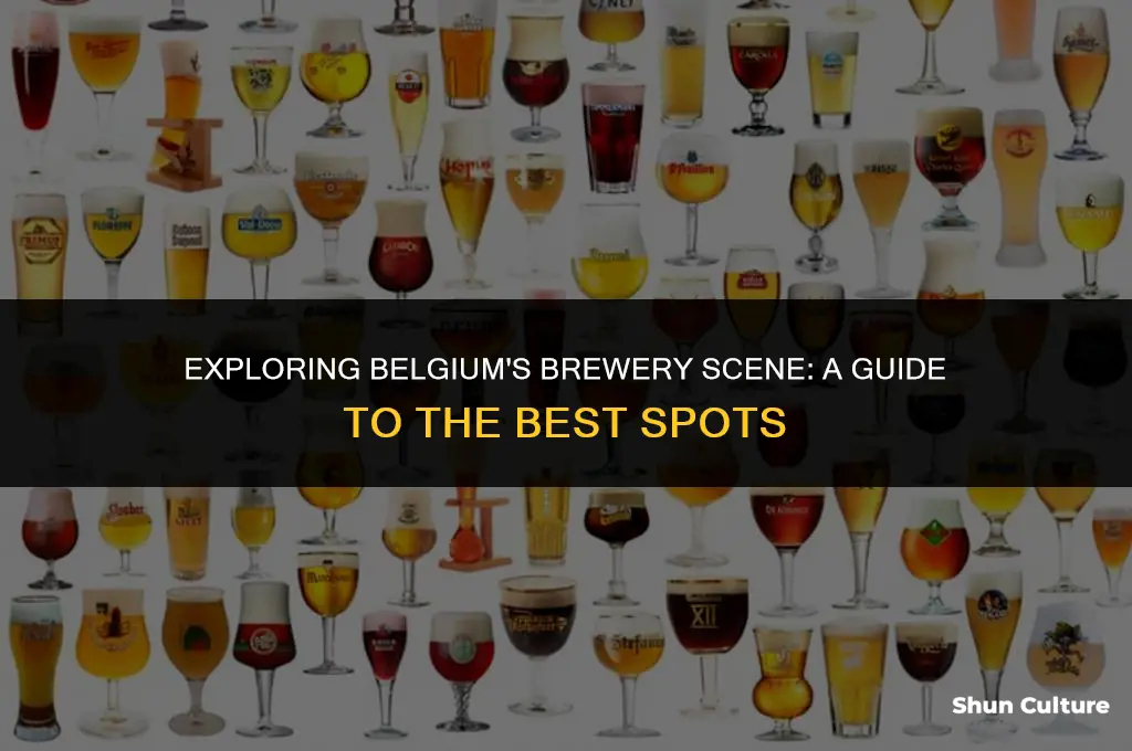 where is belgium brewery