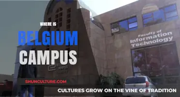 Exploring the Location of Belgium's Premier University Campus