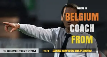Exploring the Roots: Where Belgium's National Coach Hails From