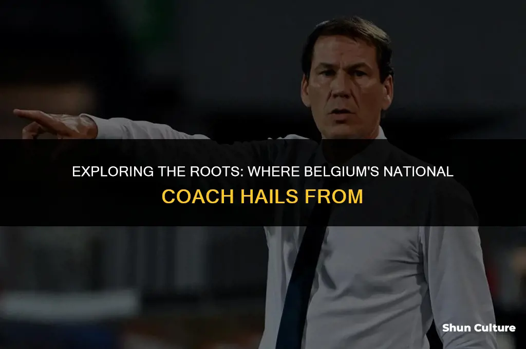 where is belgium coach from