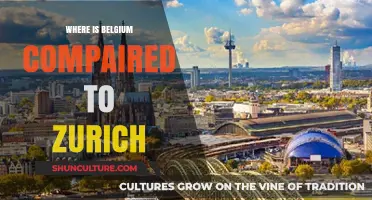 Exploring Belgium: A Comparative Journey to Zurich's Charm