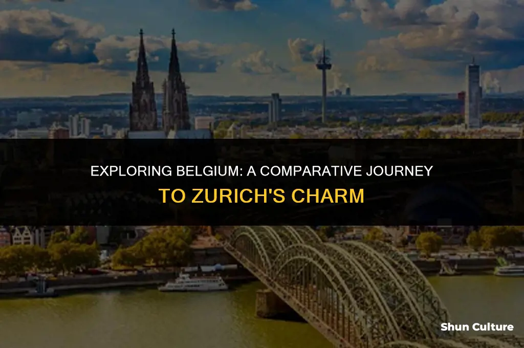 where is belgium compaired to zurich