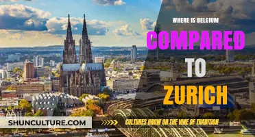 Exploring Belgium's Charm in Contrast to Zurich's Allure