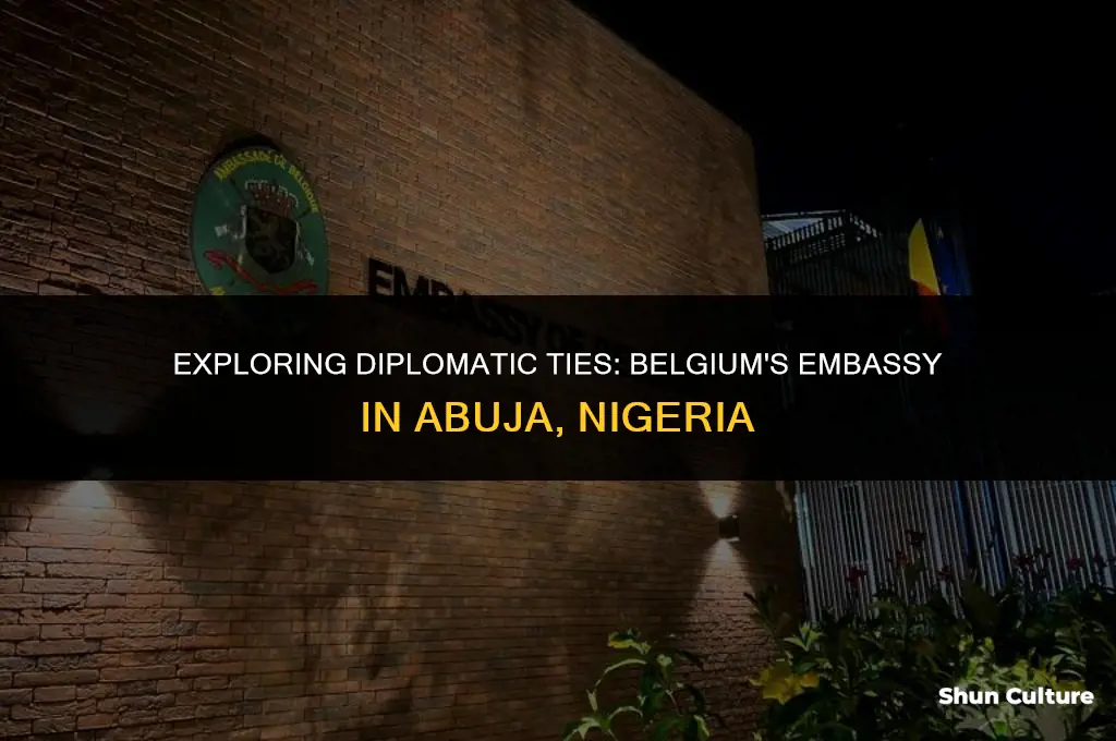 where is belgium embassy in abuja nigeria